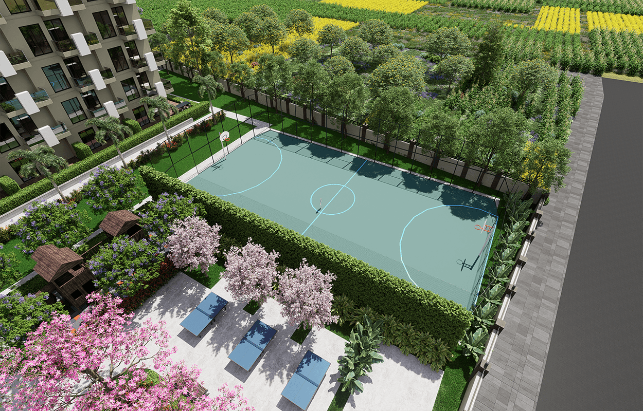 basketbol sahası.png